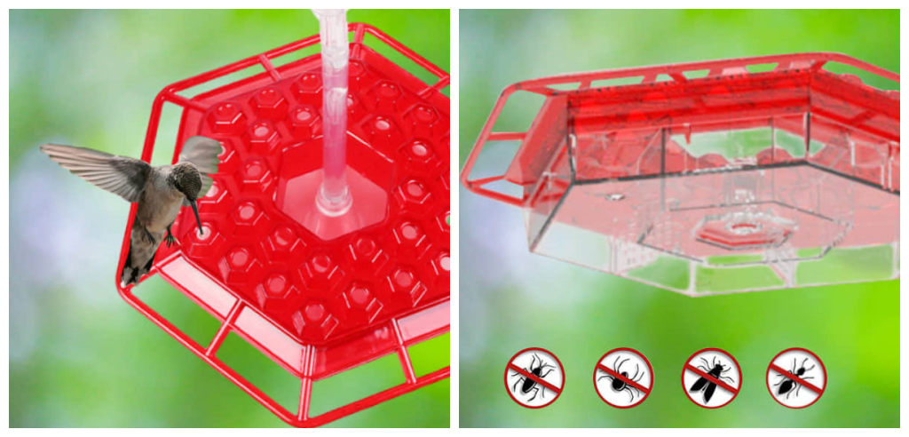 Collage, image of Sherem Sweety Hummingbird Feeder alone and with hummingbird